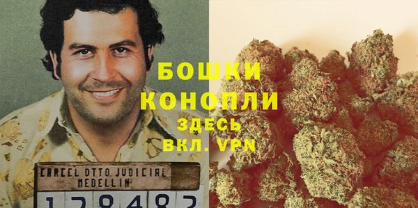 прущие крисы Арсеньев