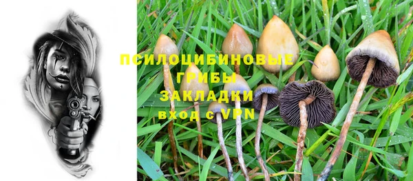 2c-b Саяногорск