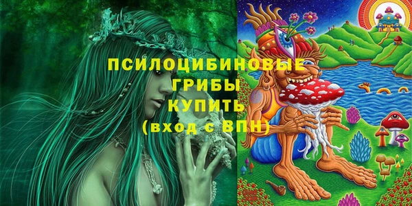 крисы Аркадак