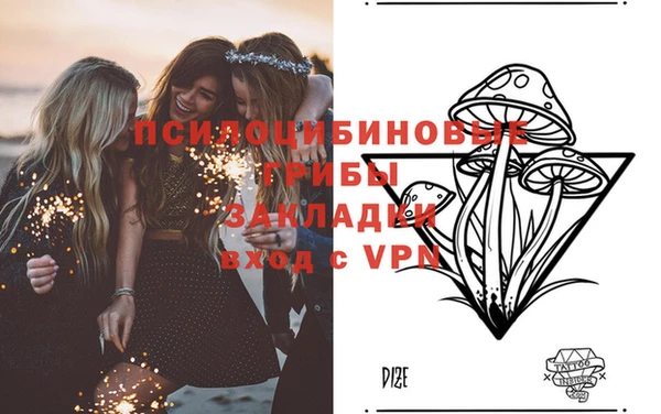 прущие крисы Арсеньев