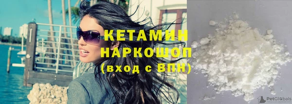 крисы Аркадак