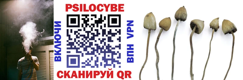 ОМГ ОМГ как войти  Няндома  Галлюциногенные грибы мицелий 